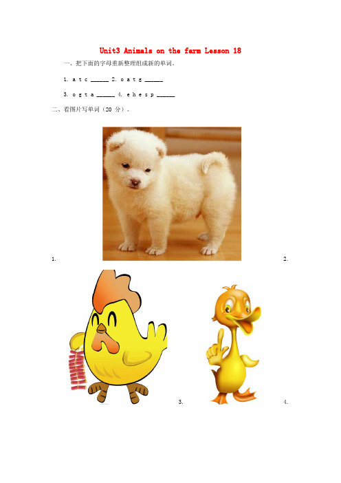 四年级英语上册 Unit 3 Animals on the Farm lessson18练习 冀教版(三起)
