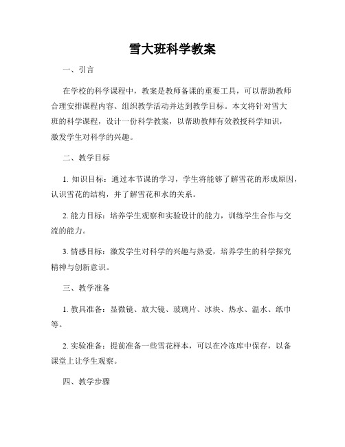 雪大班科学教案