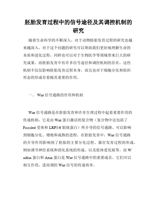 胚胎发育过程中的信号途径及其调控机制的研究