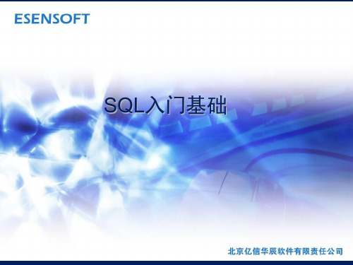 《SQL入门基础》PPT课件