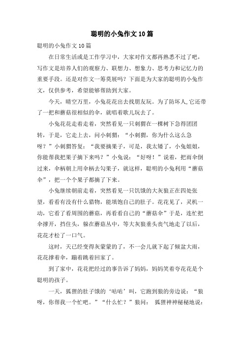 聪明的小兔作文10篇