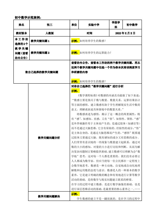 “学科教学关键问题分析清单及解决办法、策略”作业-初中数学 -