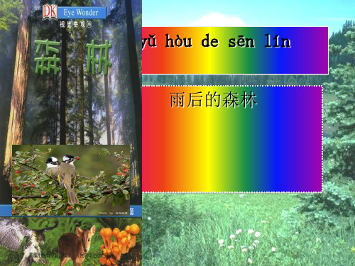 小学一年级语文上册课文4雨后的森林 2语文S版最新优选公开课件
