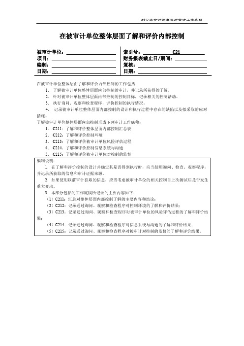 (精品方案)了解和评价内控整体层面