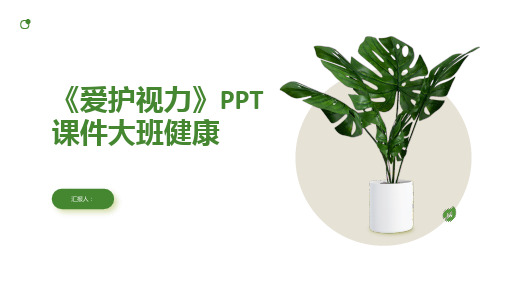 《爱护视力》PPT课件大班健康