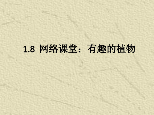 四年级下册科学课件-网络课堂：有趣的植物 (44页PPT)