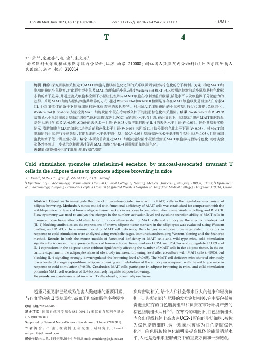 脂肪组织黏膜相关恒定T细胞通过分泌白介素4调节小鼠脂肪棕色化