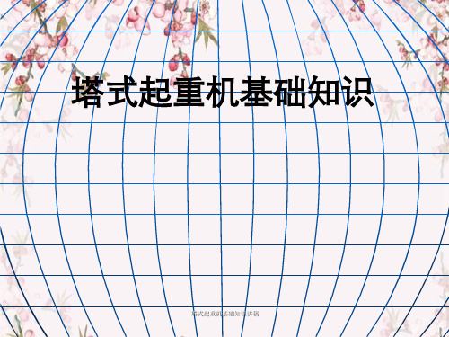 塔式起重机基础知识讲稿