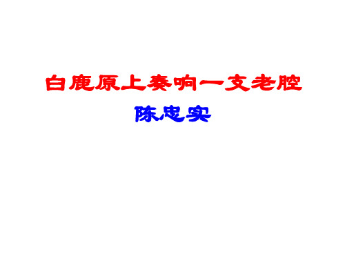 2019白鹿原上奏响一支老腔(1)