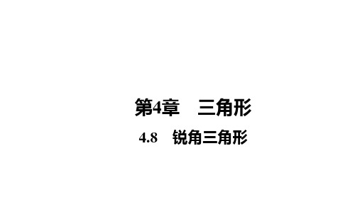 2024年福建省中考数学一轮知识点++训练复习+课件++4.8 锐角三角形