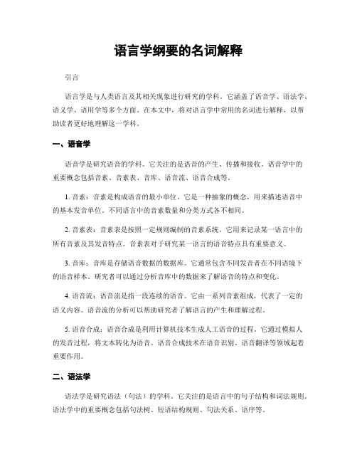 语言学纲要的名词解释