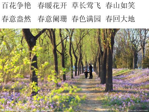 2课《只拣儿童多处行》语文S版四年级下册