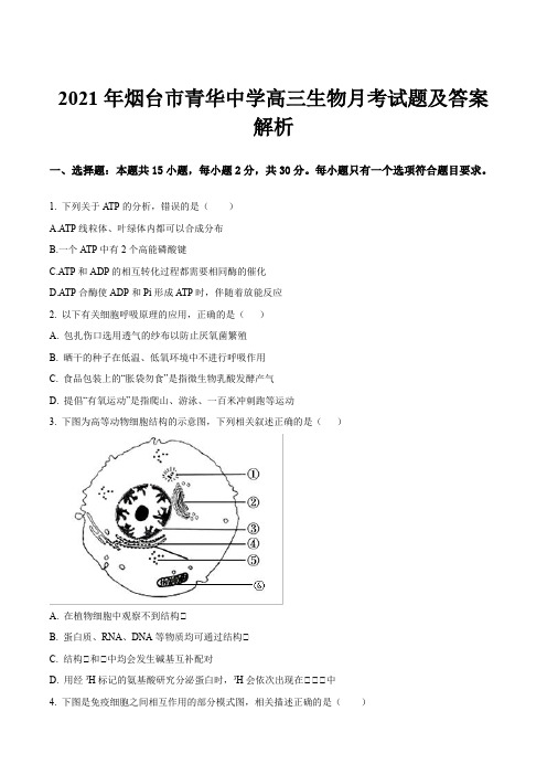 2021年烟台市青华中学高三生物月考试题及答案解析