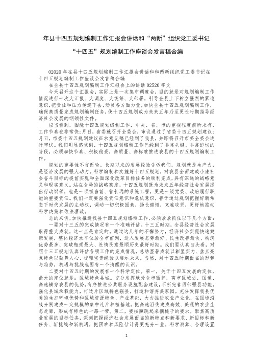 年县十四五规划编制工作汇报会讲话和“两新”组织党工委书记“十四五”规划编制工作座谈会