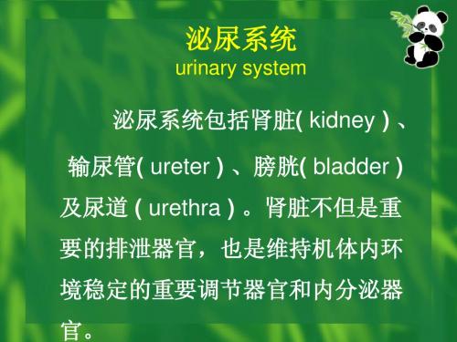 急性肾小球肾炎