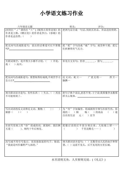 六年级语文课课通训练III (66)