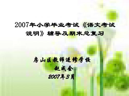 2007年小学毕业考试语文考试说明辅导及期末总复习