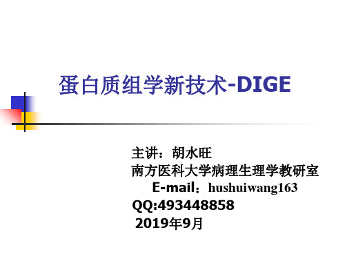 蛋白质组学新技术 共68页PPT资料