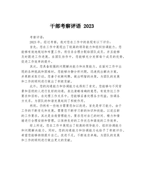 干部考察评语 2023