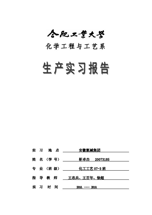 安徽中盐氯碱实习报告