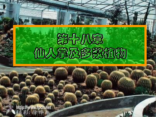 花卉学仙人掌科及多浆植物资料