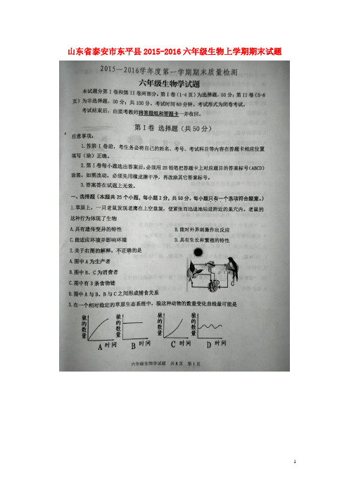 山东省泰安市东平县六年级生物上学期期末试题(扫描版)