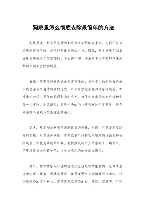 狗跳蚤怎么彻底去除最简单的方法