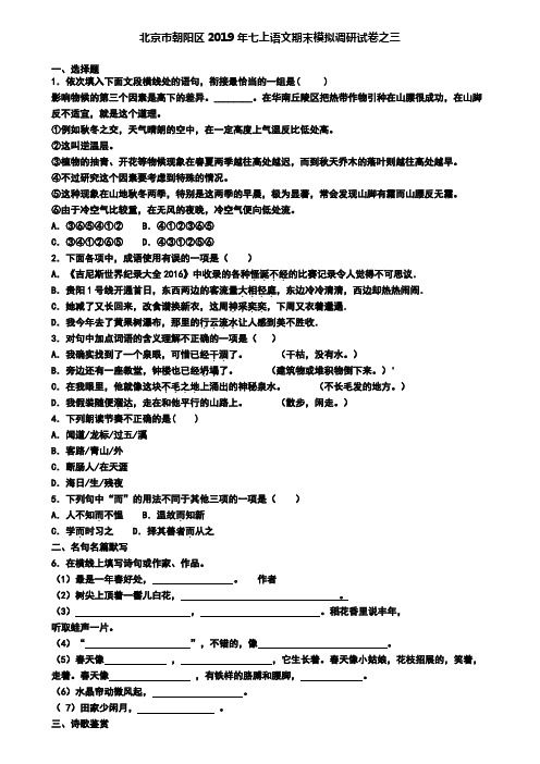 北京市朝阳区2019年七上语文期末模拟调研试卷之三