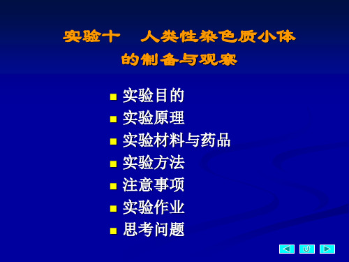 9人类性染色质小体的制备与观察