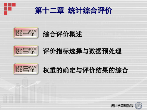 统计学简明教程PPT 第十二章 统计综合评价