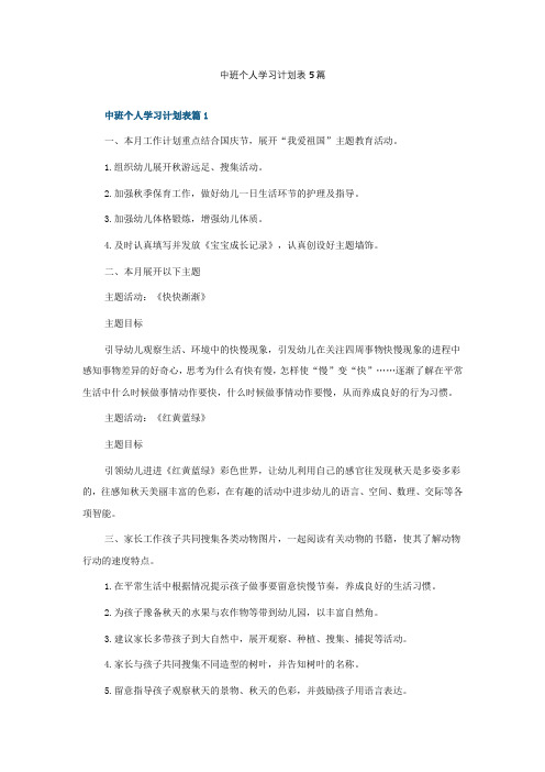 中班个人学习计划表5篇