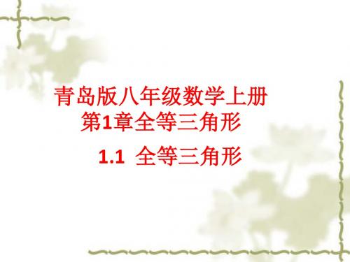 青岛版初中八年级上册 第一章 全等三角形 1.1全等三角形(2) 课件