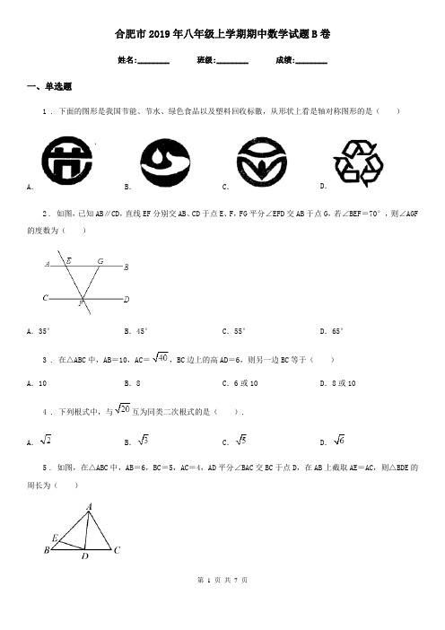 合肥市2019年八年级上学期期中数学试题B卷