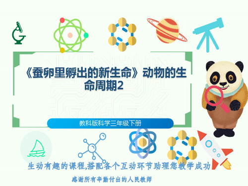 教科版科学三年级下册《蚕卵里孵出的新生命》动物的生命周期2