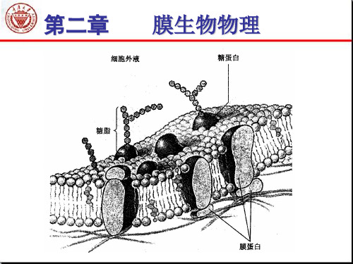 生物物理学 第2章