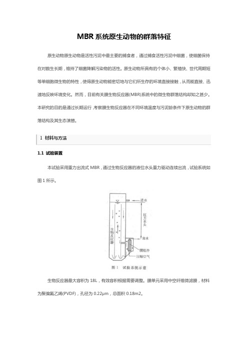 MBR系统原生动物的群落特征