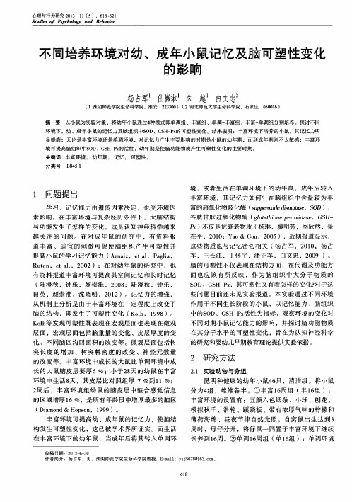 不同培养环境对幼、成年小鼠记忆及脑可塑性变化的影响