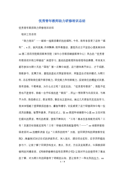 优秀青年教师助力研修培训总结