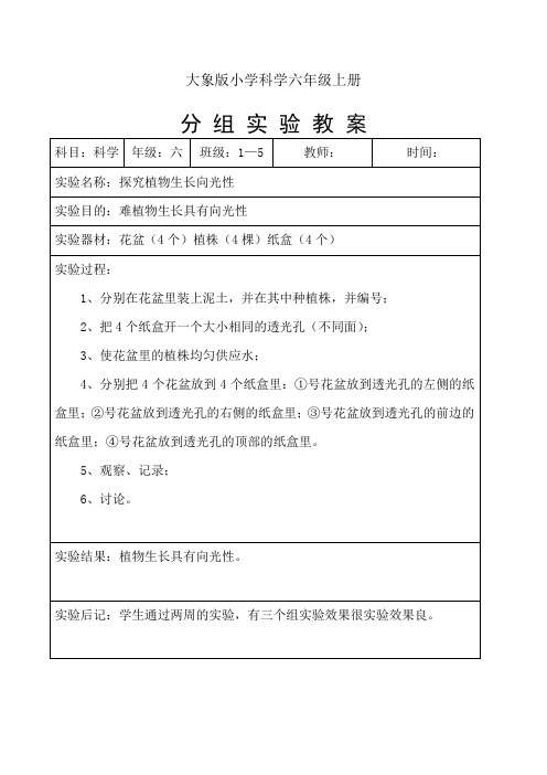 大象版小学科学六年级上册分组实验教案全册