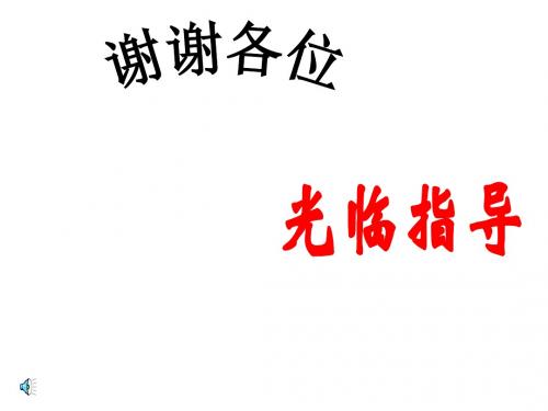 28.3-在理论指导下决策ppt课件