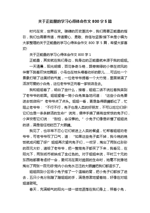 关于正能量的学习心得体会作文800字5篇