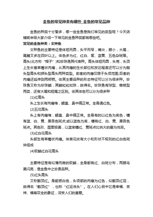 金鱼的常见种类有哪些_金鱼的常见品种