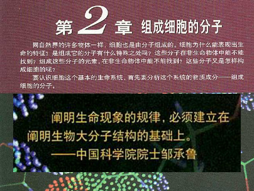 新人教版必修1高中生物专题2.5细胞中的无机物 