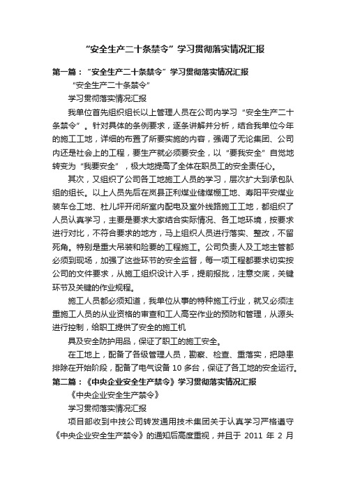 “安全生产二十条禁令”学习贯彻落实情况汇报