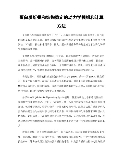 蛋白质折叠和结构稳定的动力学模拟和计算方法