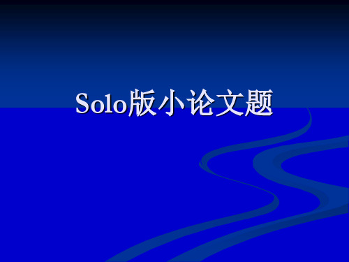 Solo版小论文题