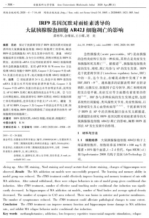 irf9基因沉默对雨蛙素诱导的大鼠胰腺腺泡细胞ar42j细胞凋亡的影响