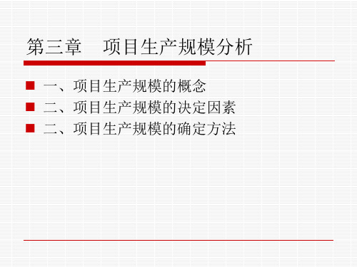 项目生产规模分析