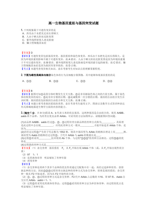 高一生物基因重组与基因突变试题
