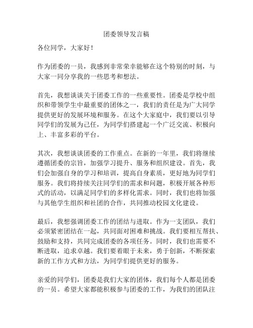 团委领导发言稿